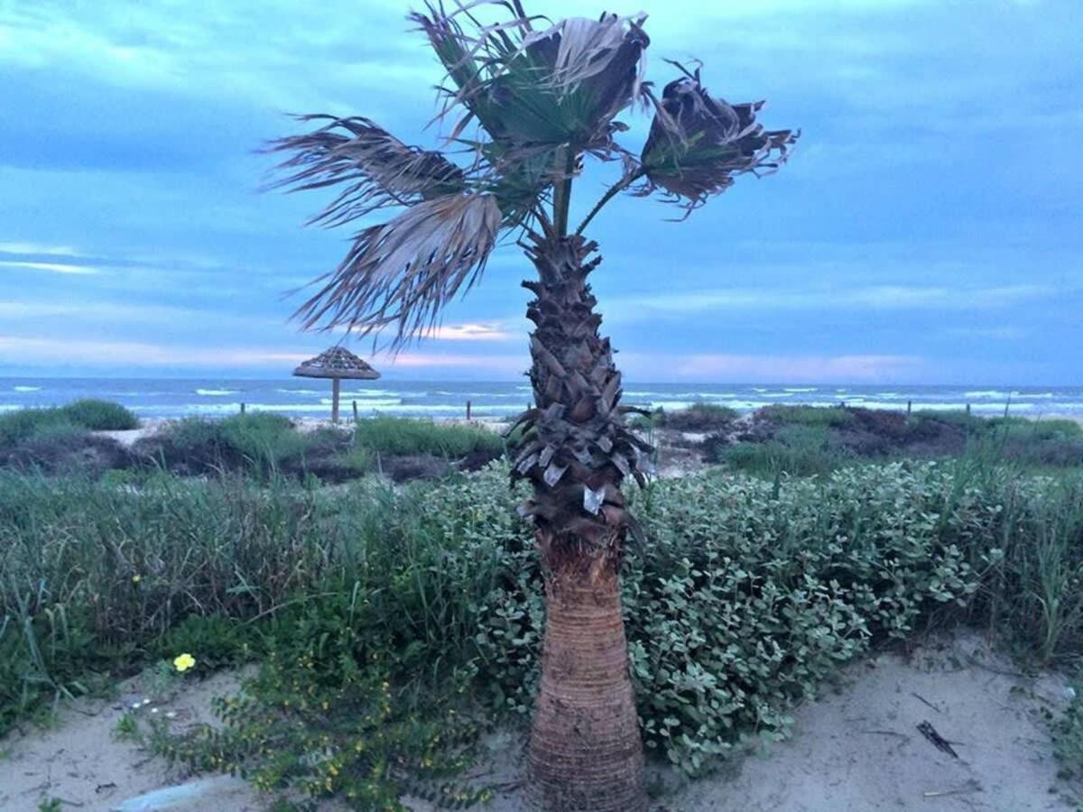 Fun In The Sun! Cozy Beach Pad, Gulf Views And Easy Access To The Sand! Серфсайд-Бич Экстерьер фото